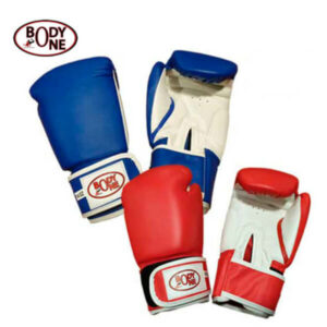 Boxing Glove 1